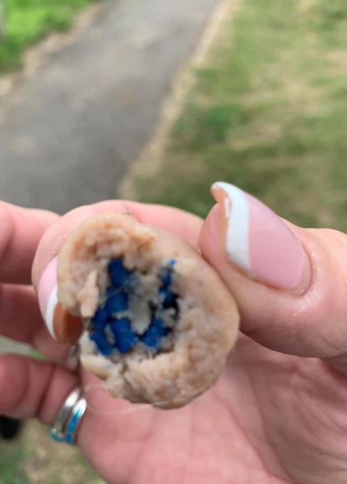 Pieces of sausage were discovered with a blue substance pressed into the meat