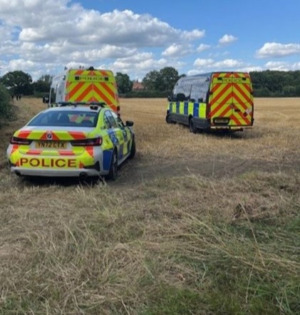 a police car is parked in a field next to a horse