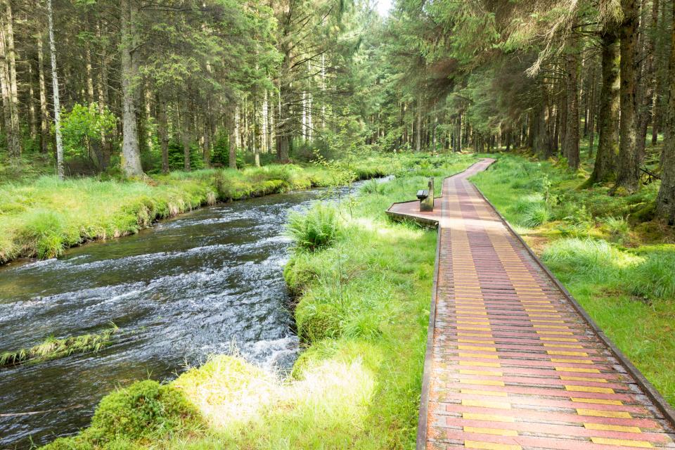 a wooden walkway leading to a river in the woods