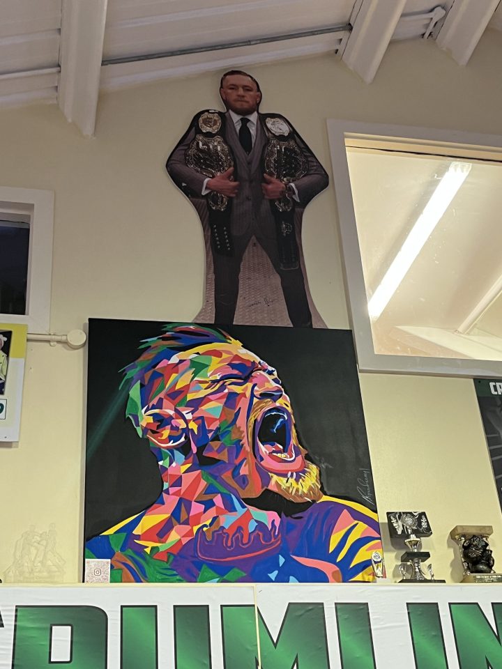 A huge mural of McGregor drapes the wall