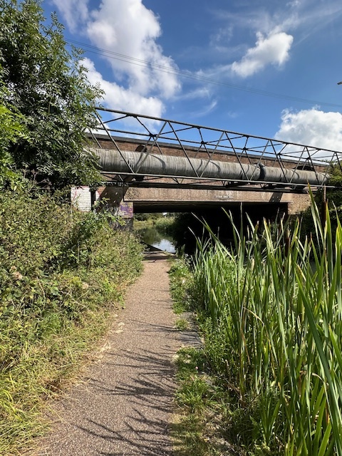 a bridge over a river with tall grass on the side