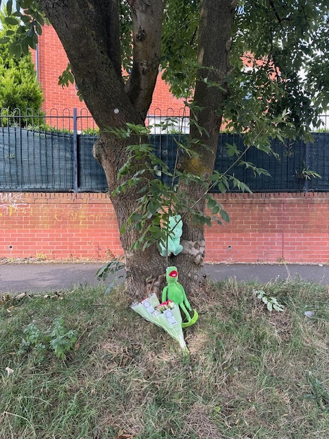 a stuffed frog is sitting under a tree next to a bouquet of flowers