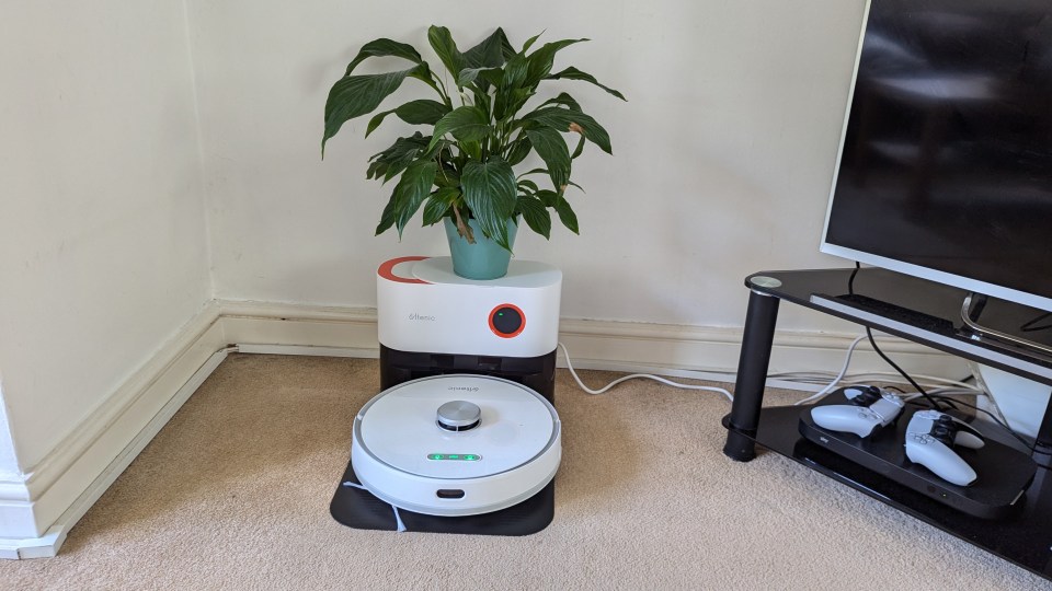 The flat top of the Ultenic T10 Pro's charging station is the perfect spot for a plant