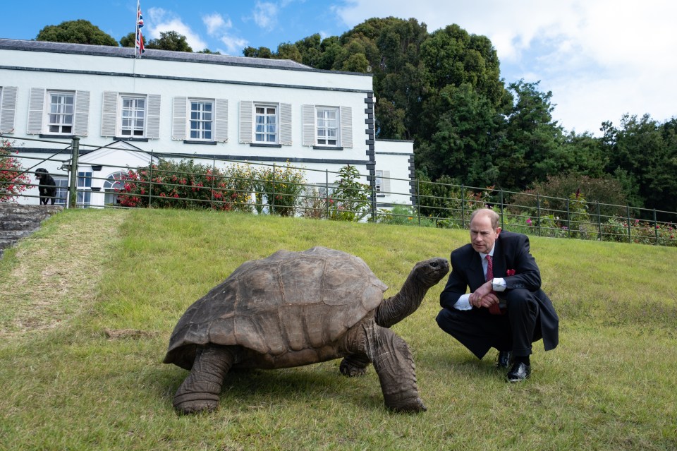 ST HELENA - JANUARY 24: In this handout photo provided by Buckingham Palace, Prince Edward, Duke of Edinburgh seen meeting the world's oldest living land animal, Jonathan the 191-year-old giant tortoise, on the South Atlantic island of St Helena on January 24, 2024. NOTE TO EDITORS: This handout photo may only be used in for editorial reporting purposes for the contemporaneous illustration of events, things or the people in the image or facts mentioned in the caption. Reuse of the picture may require further permission from the copyright holder. (Photo Handout/Buckingham Palace via Getty Images)