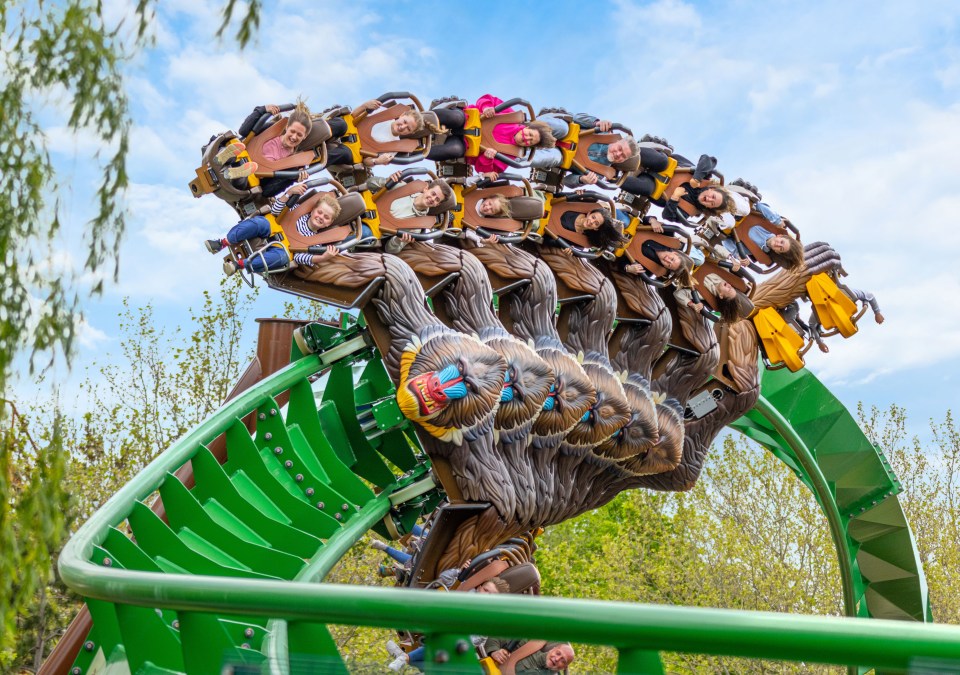 a group of people are riding a roller coaster that looks like a tree