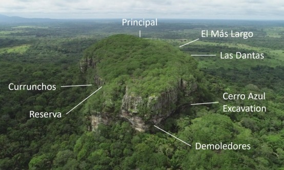 Drawings of bird-plant-human hybrids and deer-humans were also discovered at Principal