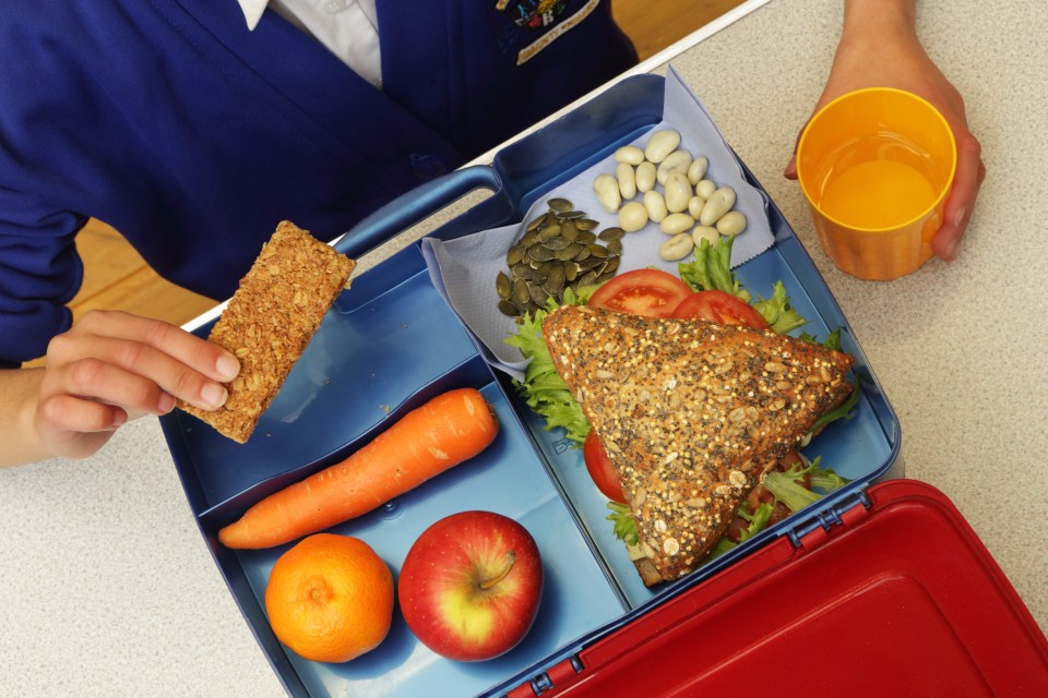 a child is eating a sandwich from a lunch box