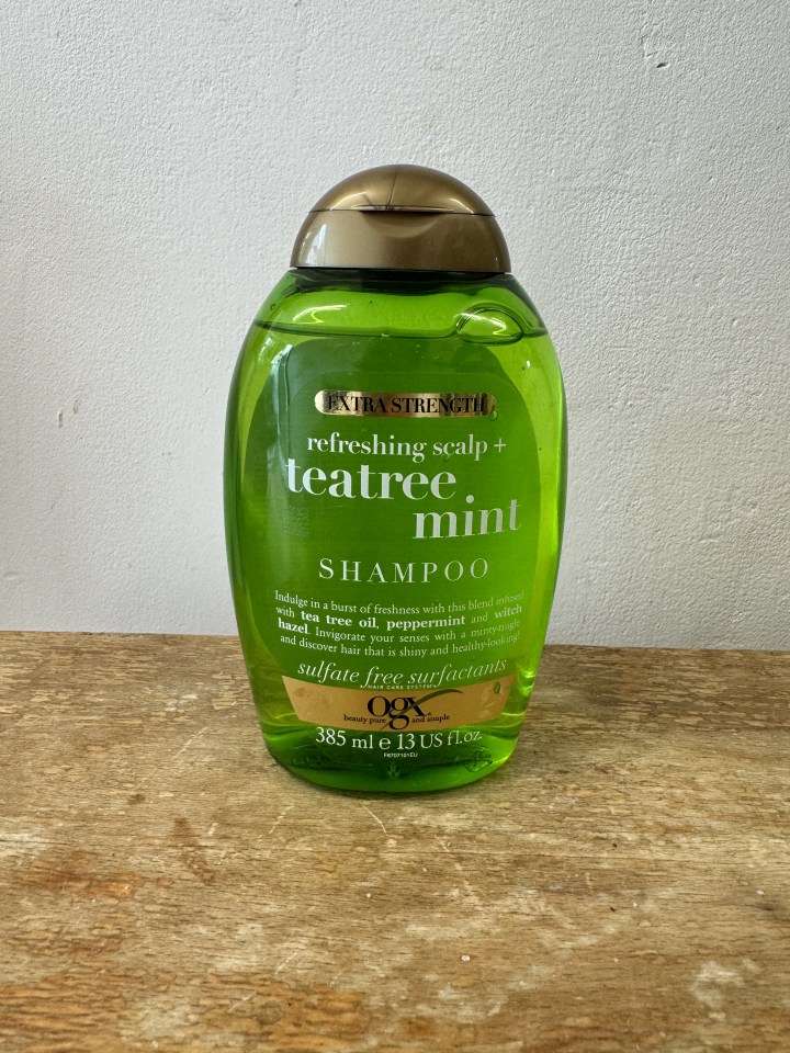 I put OGX Refreshing Scalp + Teatree Mint Shampoo to the test