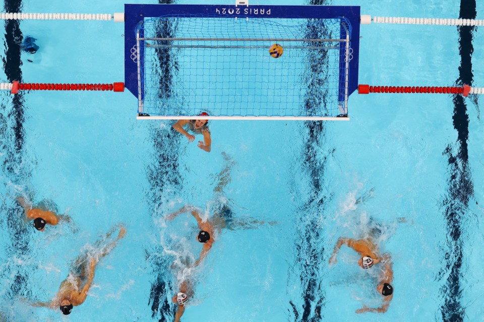 Water polo players also can't groin grab, like they need to know!