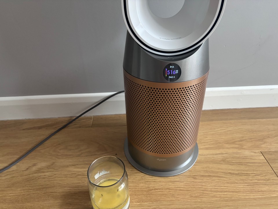 dyson-fan-review