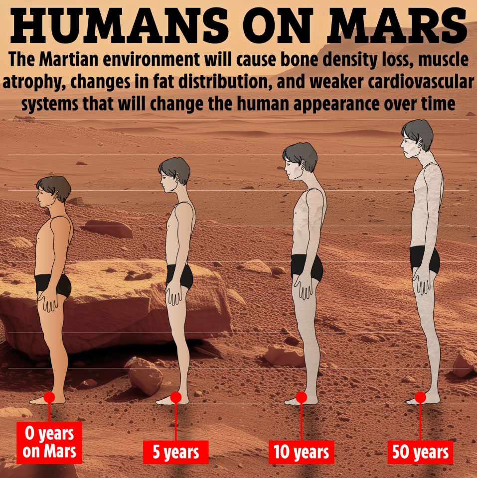 Living in Martian gravity - about 38% of Earth's gravity - over extended periods is expected to have significant effects on the human body