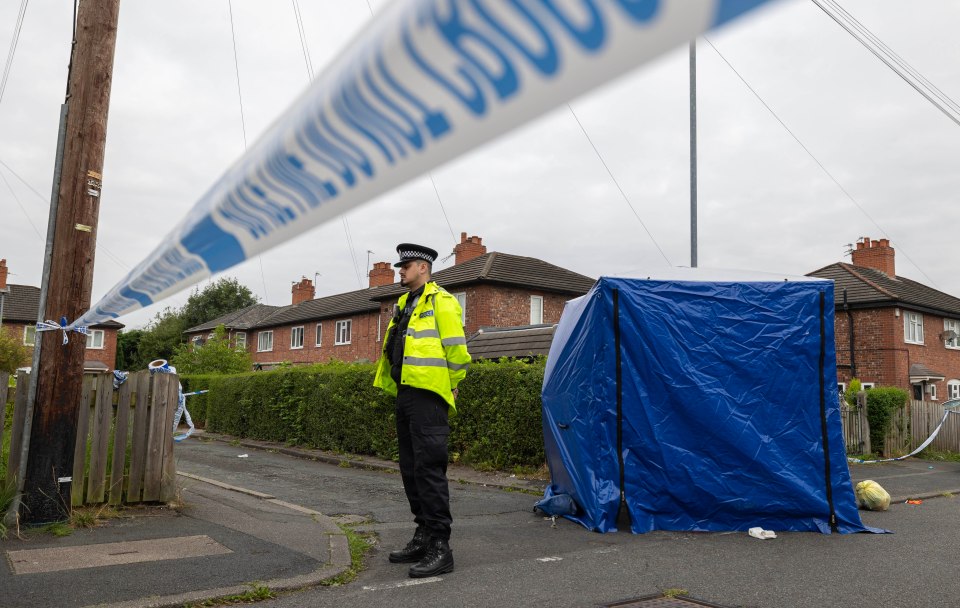 A woman, 43, has been knifed to death while a 17-year-old girl is fighting for her life after a triple stabbing