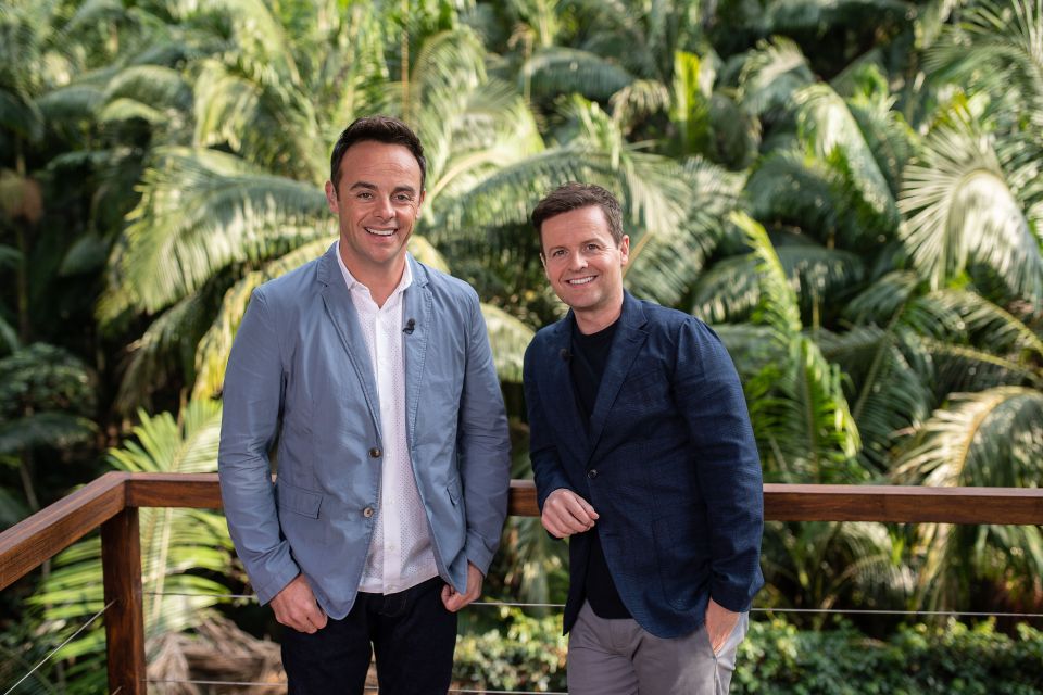 Ant and Dec front the ITV reality show