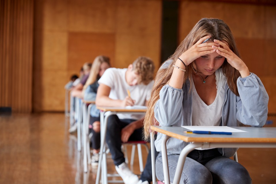 Schoolkids may struggle with mood swings and trouble sleeping as they struggle to speak about their mental health