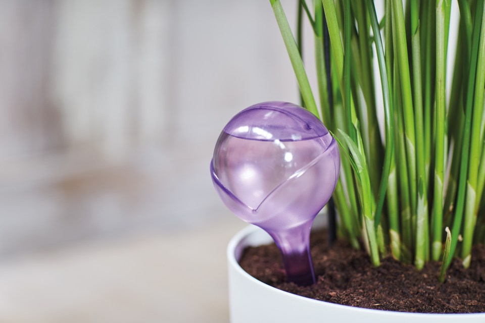 This acqua care insert will help keep plants watered while you're away