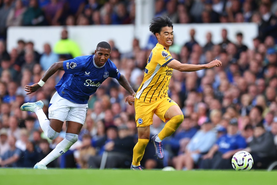 Brighton beat Everton 3-0 in their Premier League opener at Goodison Park