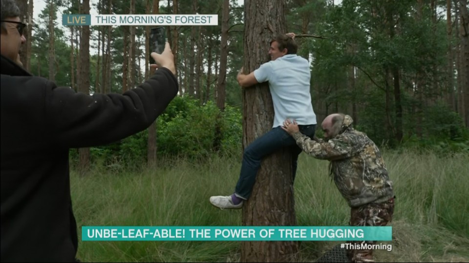 The presenter was awkwardly hoisted up onto the tree