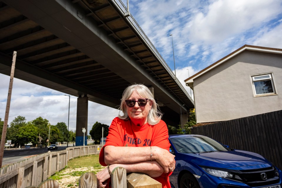 Jackie Payne has lived under the M5 motorway for five years