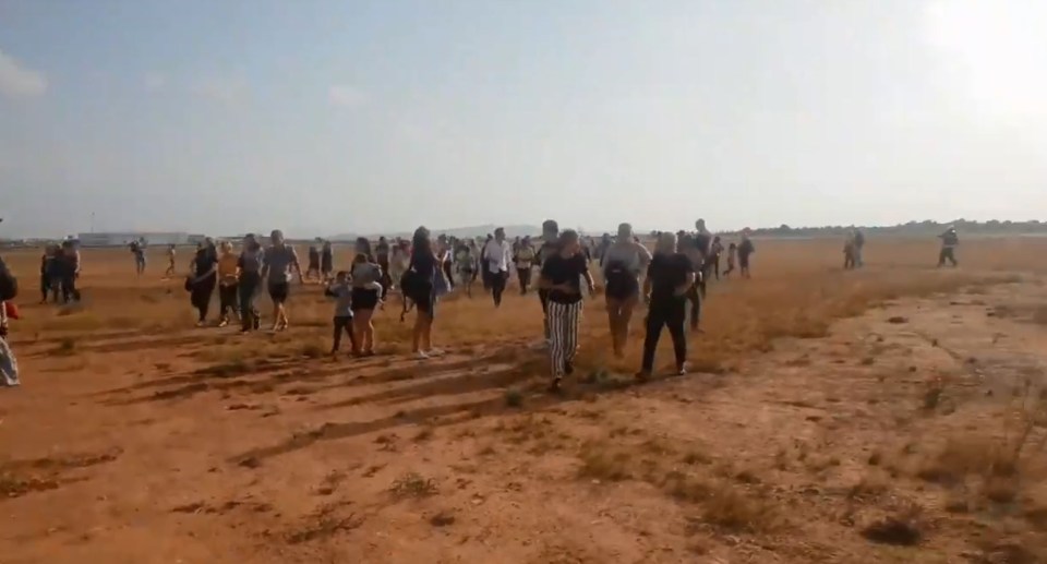 a large group of people are walking through a field