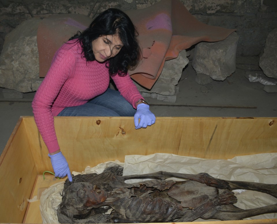 Scientists Dr Sahar Saleem examining the mummy