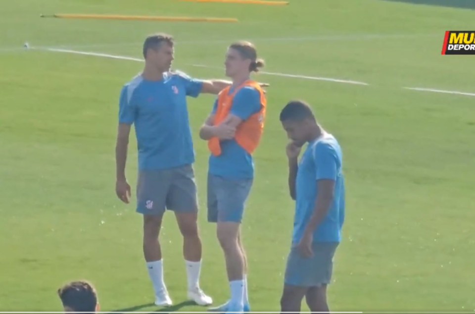 a group of soccer players are standing on a field and one of them is wearing an alm jersey