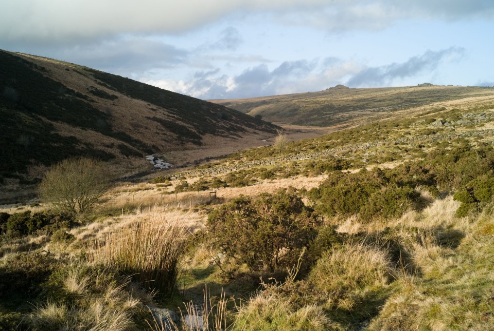 a landscape with a mountain in the background and a few trees in the foreground