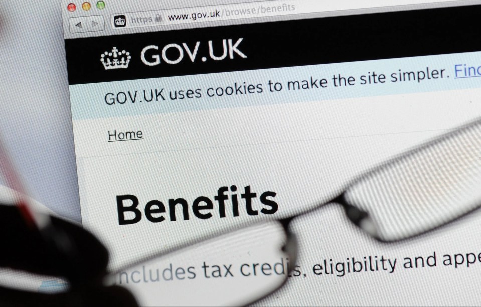 a computer screen displays the gov.uk website