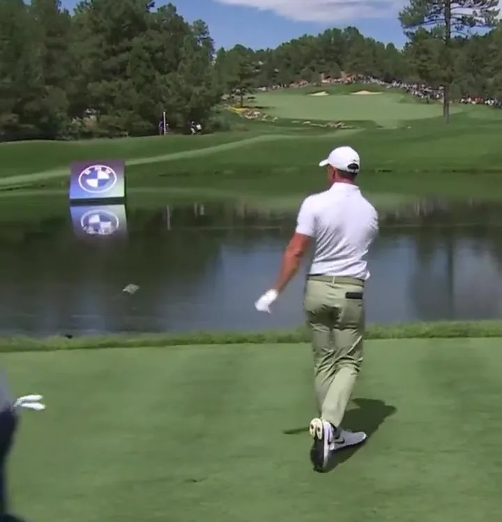 The incident came a day after McIlroy tossed his club into the pond