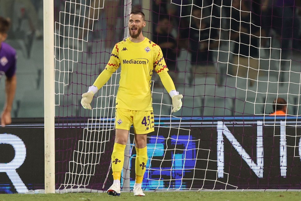 David de Gea had a nightmare debut for Fiorentina