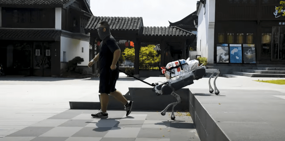 The robodog can even tackle obstacles some 20cm tall