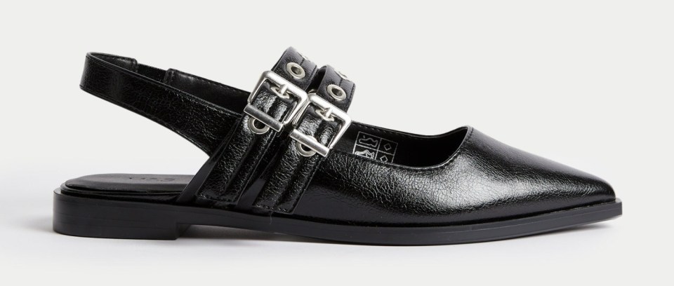 a pair of black shoes with silver buckles on the straps