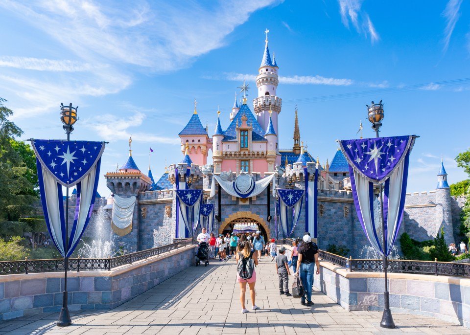 a group of people are walking towards the disney castle