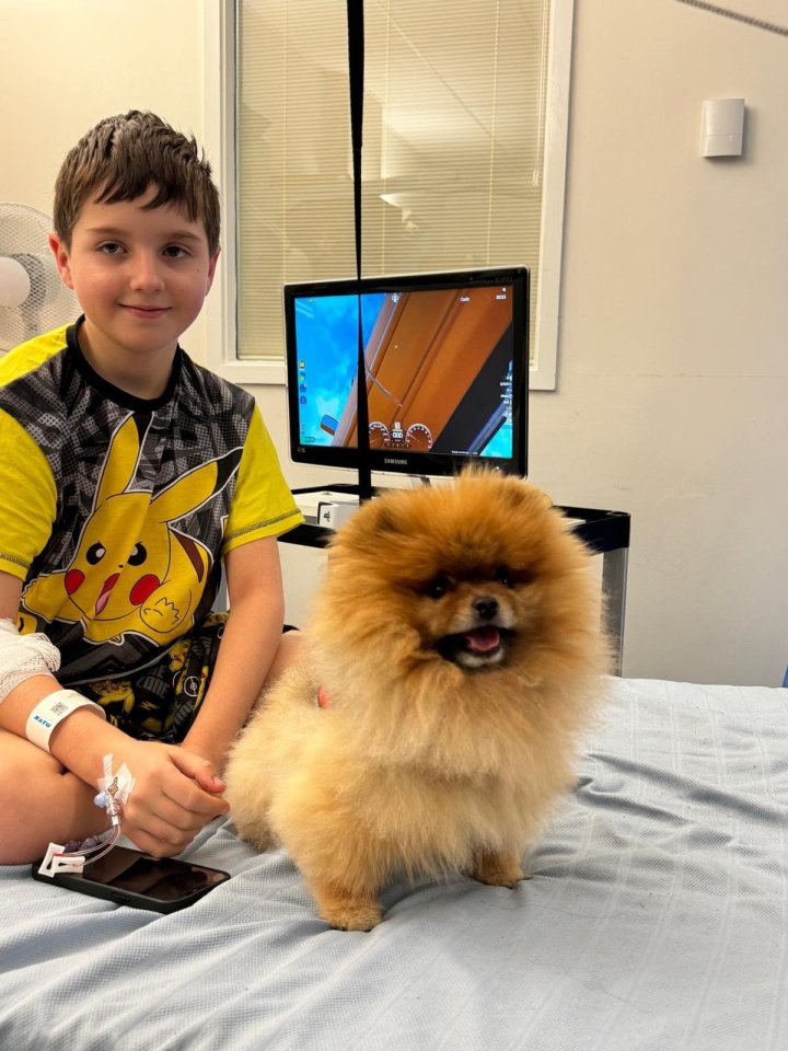 The youngster in hospital with a therapy dog