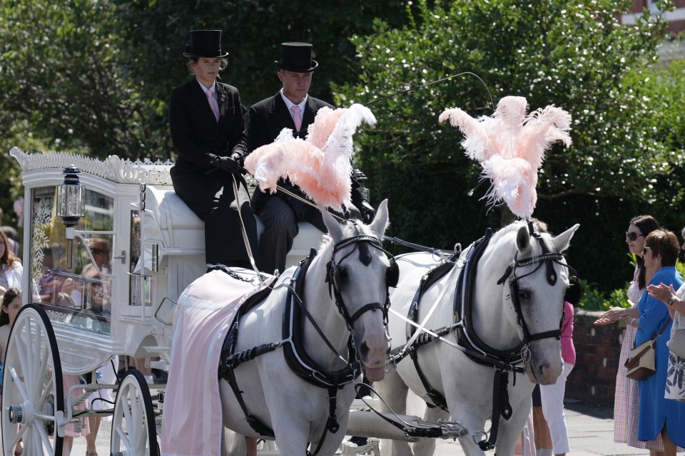 a white horse drawn carriage with pink feathers on the horses