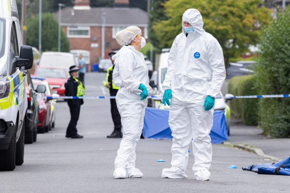 Forensic teams at the scene this morning