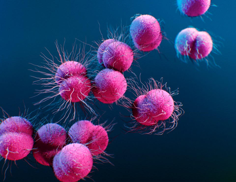 a computer generated image of pink bacteria on a blue background