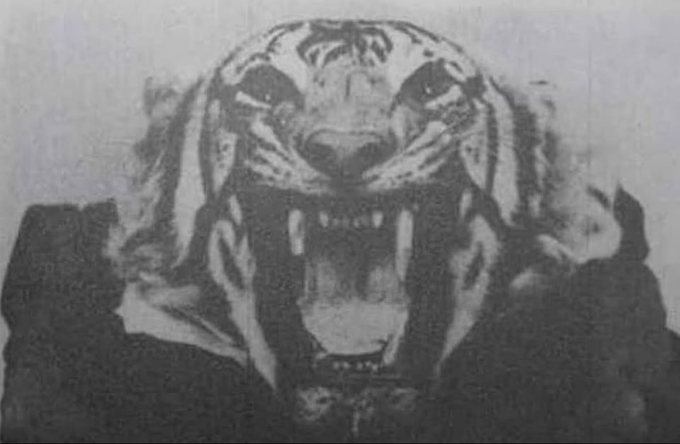 One of the few surviving snaps of the beast's taxidermied head after it was shot dead