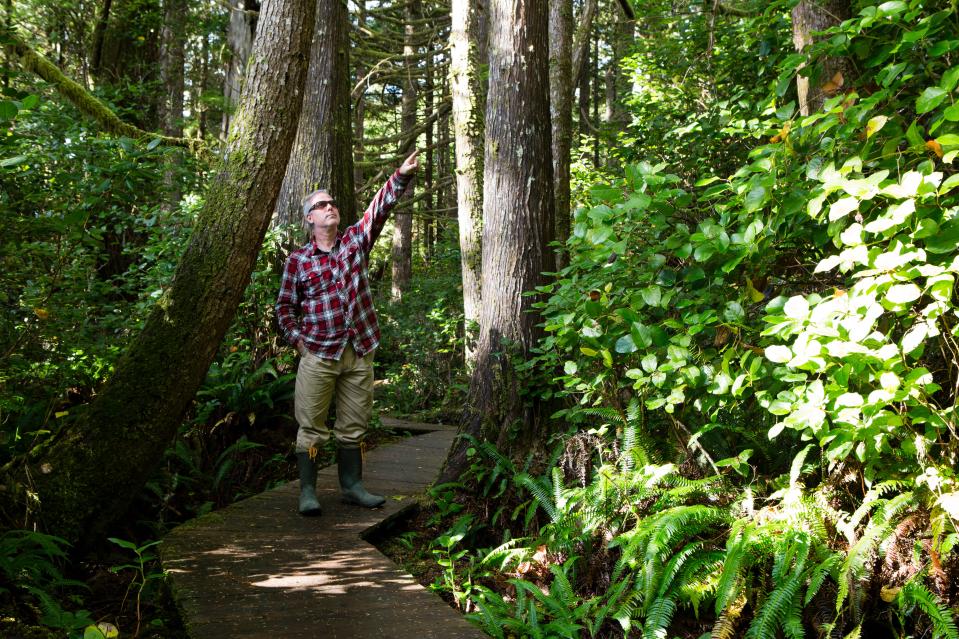 a man in a plaid shirt stands on a boardwalk in the woods