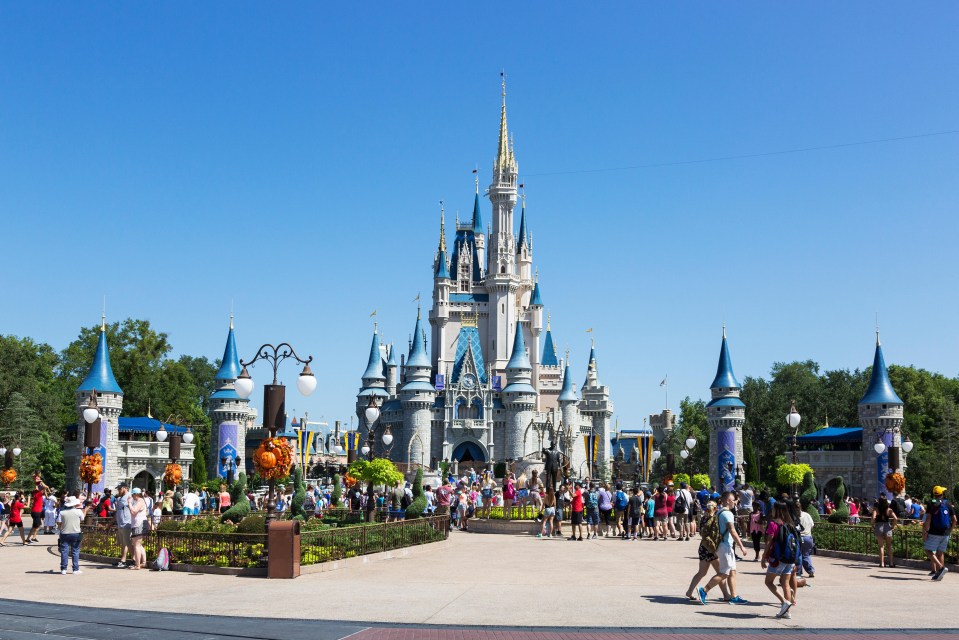 a crowd of people are gathered in front of the cinderella castle