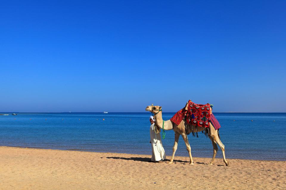 Five-star trips to Egypt are cheaper than some three-star stays elsewhere