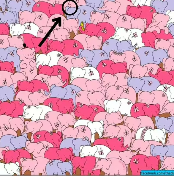 a bunch of pink and blue elephants with butterflies on their trunks