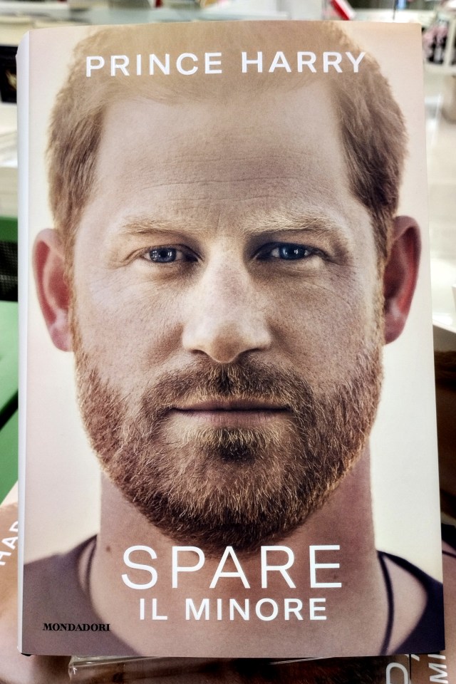 a book by prince harry called spare il minore