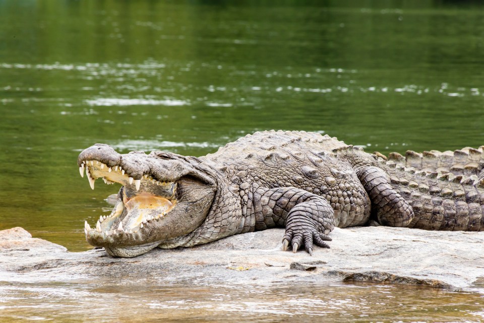 Tourists have been urged by locals to find a safer spot to fish (stock image)