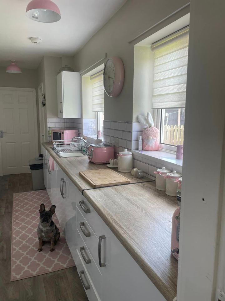 The brand new kitchen - plus the adorable culprit behind the cupboard disaster