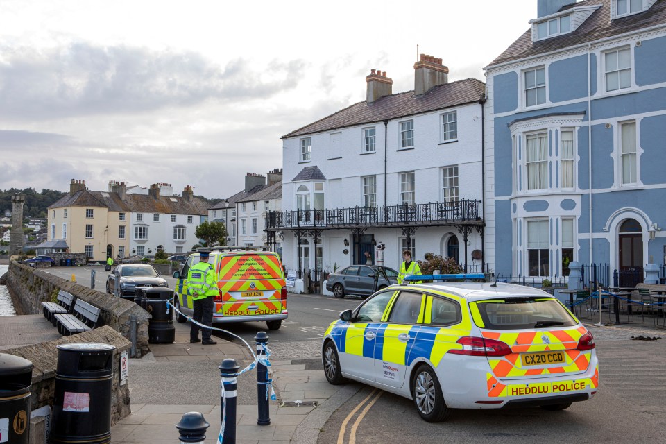 Locals claimed the Audi 'came out of nowhere'