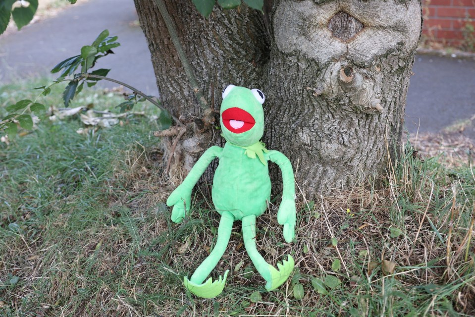 kermit the frog is sitting under a tree near a river