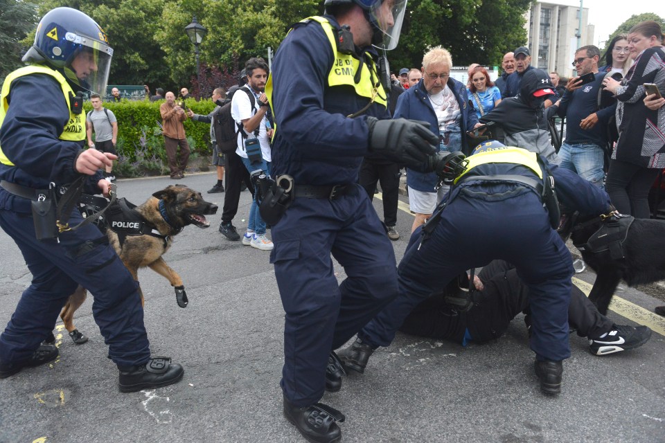 a group of police officers and a police dog