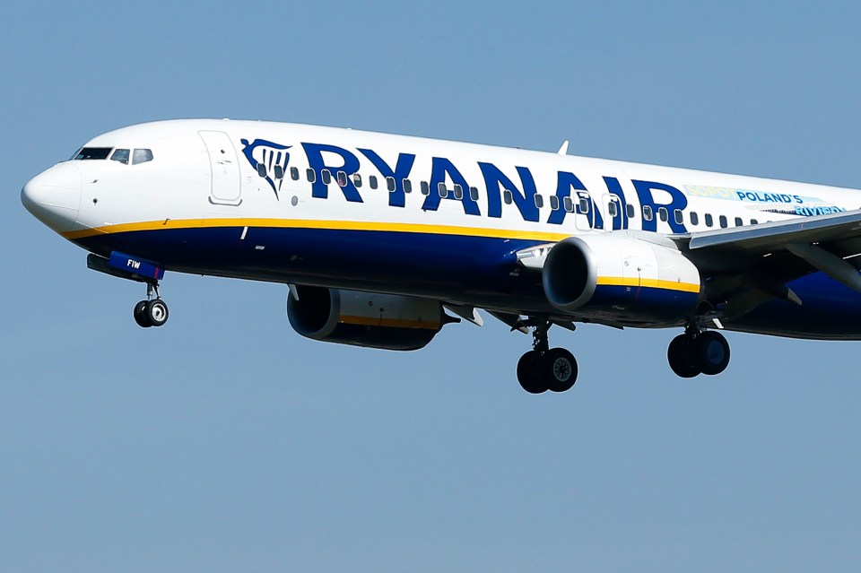 The brawl occurred on a Ryanair flight in July