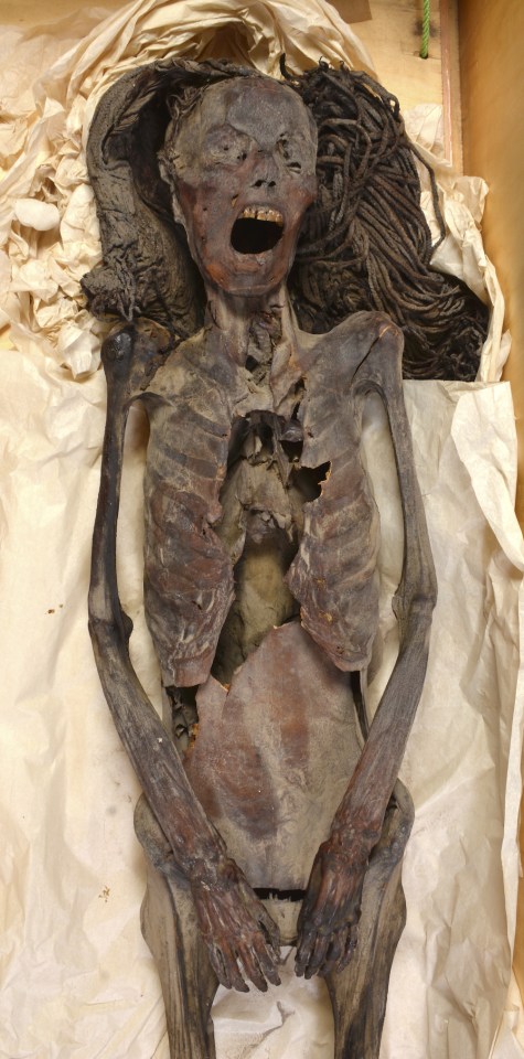 Picture of the Egyptian mummy who was buried in ‘immense pain’