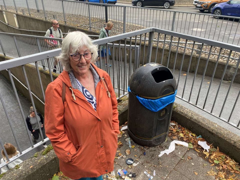 Helly Langley, 74,  is frustrated that litter picking seems to be on the residents